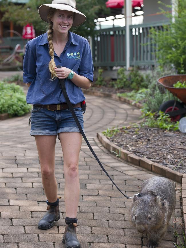 Jess Stewart with Betty the wombat.