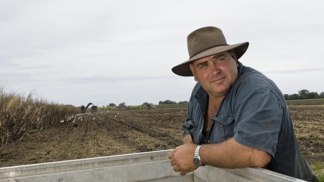 Cane farmer Wayne Rodgers of Pimlico. Photo Jay Cronan / The Northern Star