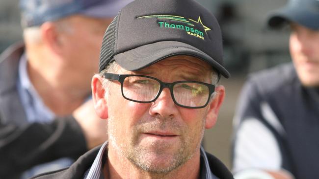 Trainer Brett Thompson prepares Larynx who looks hard to beat on Friday. Picture: Grant Guy