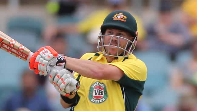 David Warner has had a year to remember in one-day cricket..