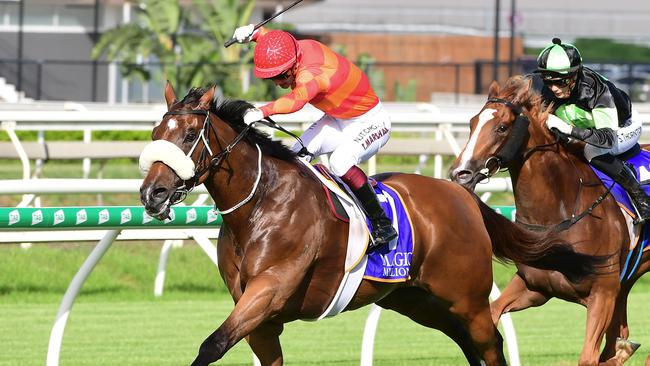 Apache Chase holds off Gotta Kiss to win the Vo Rogue Plate at Eagle Farm. Picture: Trackside Photography