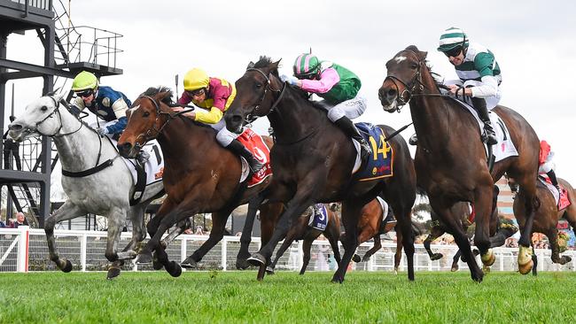 Positivity (second from right) fends off a wall of challenges to win the MRC Foundation Cup at Caulfield. Picture: Reg Ryan/Racing Photos via Getty Images