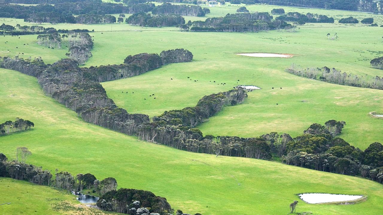 king-island-group-6-metals-grassy-scheetlite-mine-to-restart