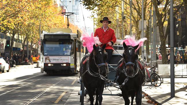 Horse-drawn carriages in Melbourne’s CBD.