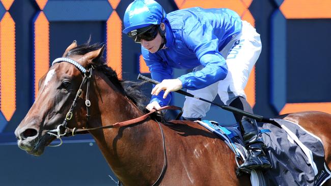 Souchez is the ruling favourite for the J.J. Atkins.