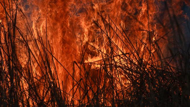 Six CFA units were called to a 1ha grass fire at a home in Wyuna East just after midday on Monday, November 11, 2024, where the incident remains ongoing. Picture: Glenn Campbell