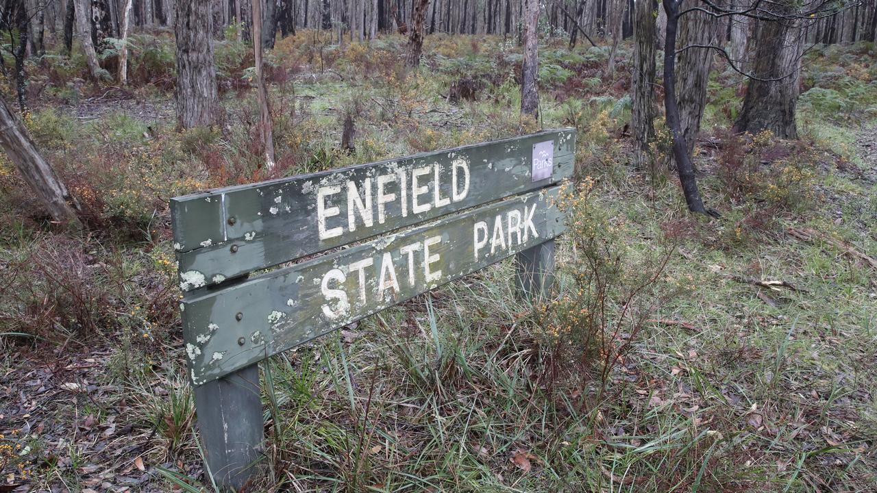 Police reportedly took Mr Stephenson to Enfield State Park as the search for Ms Murphy continues. Picture: NewsWire /pool / David Crosling