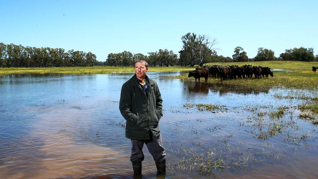 Rob Locke in a flooded livestock paddock on his property near Tocumwal. Picture: Aaron Francis/The Australian