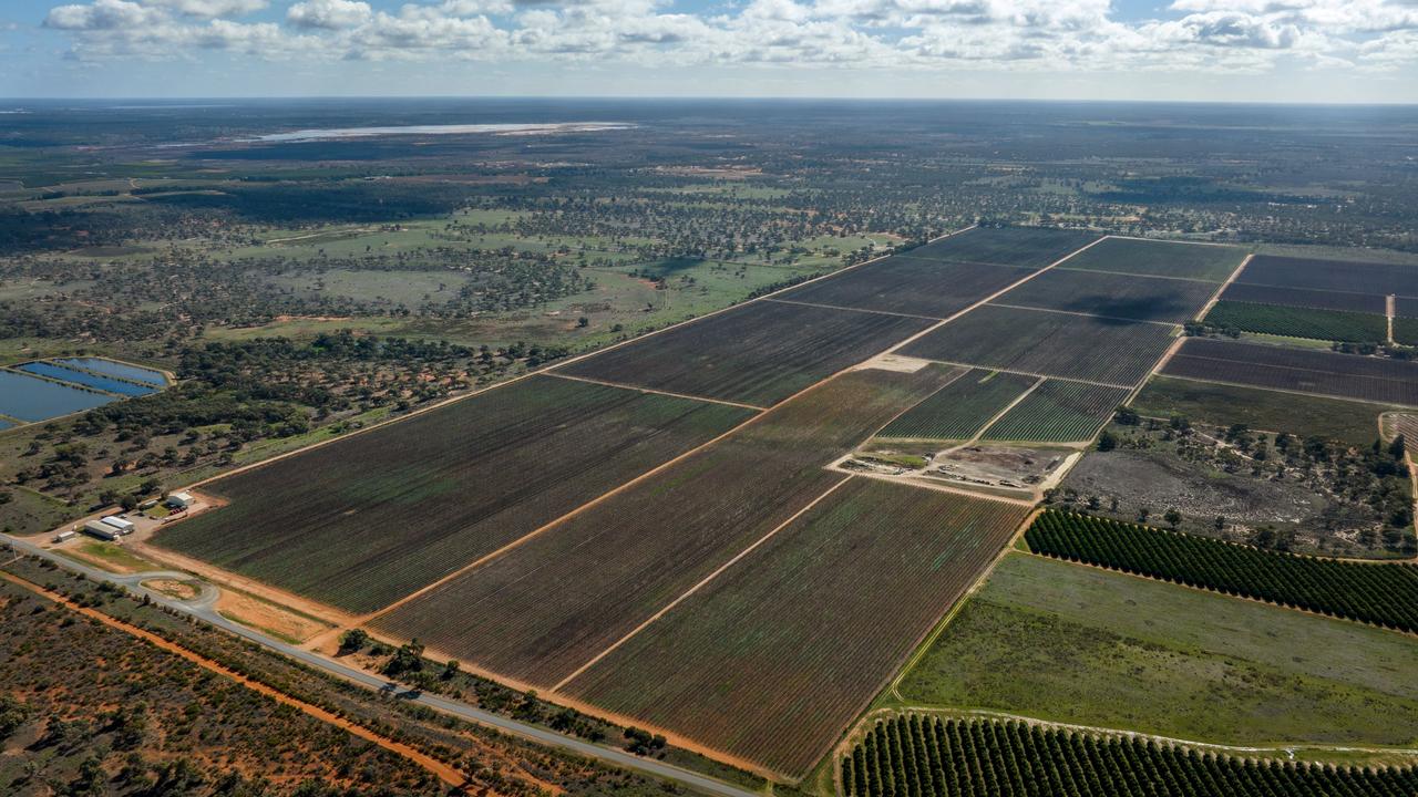 Duxton sell two NSW vineyards
