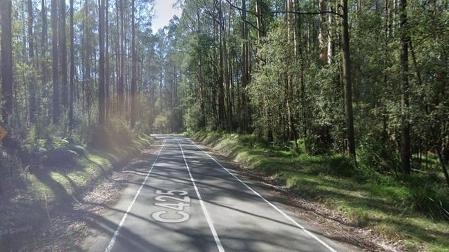 The fatal collision occurred on Yarra Junction-Noojee Rd on January 8. Picture: Supplied.