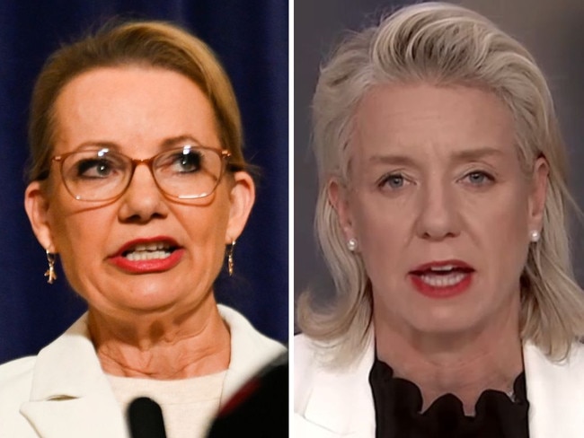 Nationals Senate Leader Bridget McKenzie has taken a swipe at Liberal leader Sussan Ley following the Coalition split, claiming several policies could not be guaranteed by the party's new leader moving forward.