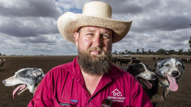 Cattle Farmer Tom Nixon with his dogs on Devon Court Stud on the Western Downs, is hoping for more rain to help his pastures. Photo Lachie Millard