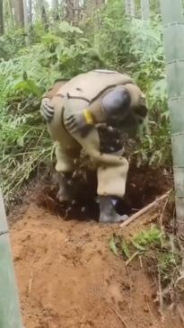 Hornet professional gets stung in the worst place possible