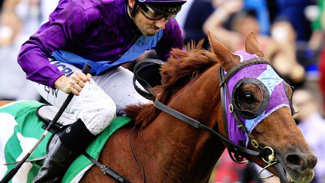 Bring Luck loves the wet and looks good value on Saturday. Picture: Jenny Evans