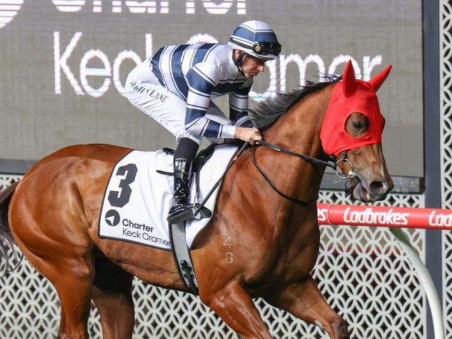 Uncommon James on the way to the barriers prior to the running of the Charter Keck Cramer Moir Stakes at Moonee Valley Racecourse on September 29, 2023 in Moonee Ponds, Australia. (Photo by George Sal/Racing Photos via Getty Images)