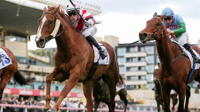 Jockey Ben Allen rode Feehan Stakes winner Pinstriped in the 2023 Cox Plate at The Valley. Picture: Racing Photos via Getty Images.