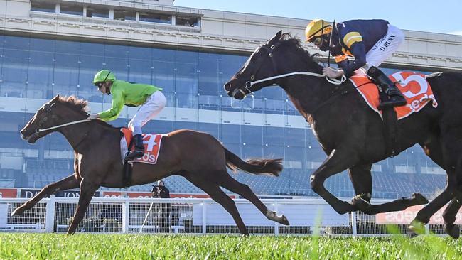 Our Playboy wins the Vain Stakes at Caulfield in August. Picture: Racing Photos