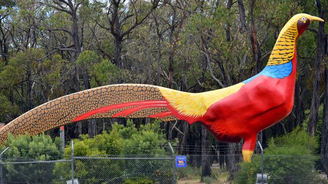 Gumbuya Park’s Golden Pheasant statue once graced the park’s entrance.