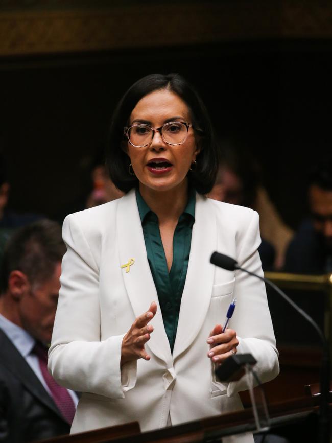 Deputy Premier Prue Car took leave while undergoing cancer treatment in 2022. She also dismissed her symptoms, believing they were a result of being a working mum. Picture: NCA Newswire