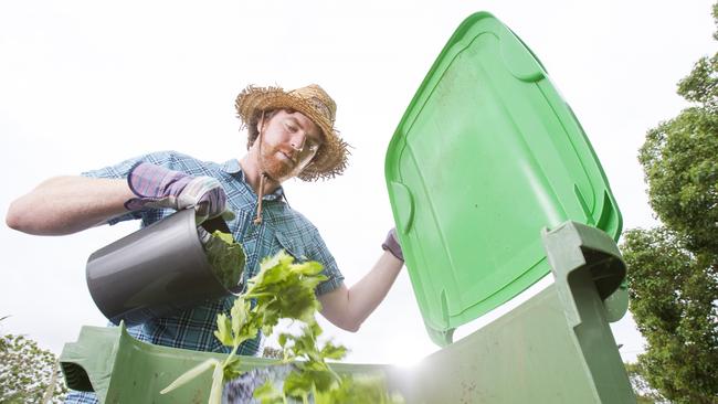 About 1000 households in Ipswich will take part in the food organics and garden organics (FOGO) trial from September.