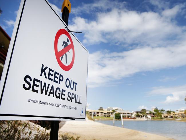 Canal sewage contamination scare at Mooloolaba.  Photo:Lachie Millard/ Sunshine coast Daily