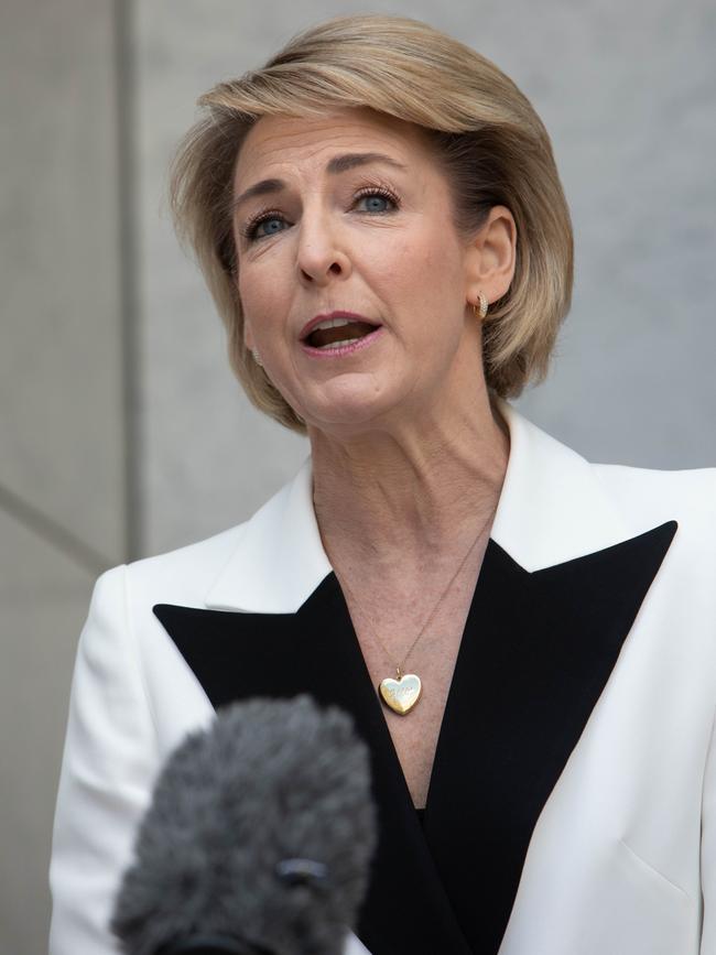 Minister for Employment, Skills, Small and Family Business Michaelia Cash. Picture: NCA NewsWire / Andrew Taylor