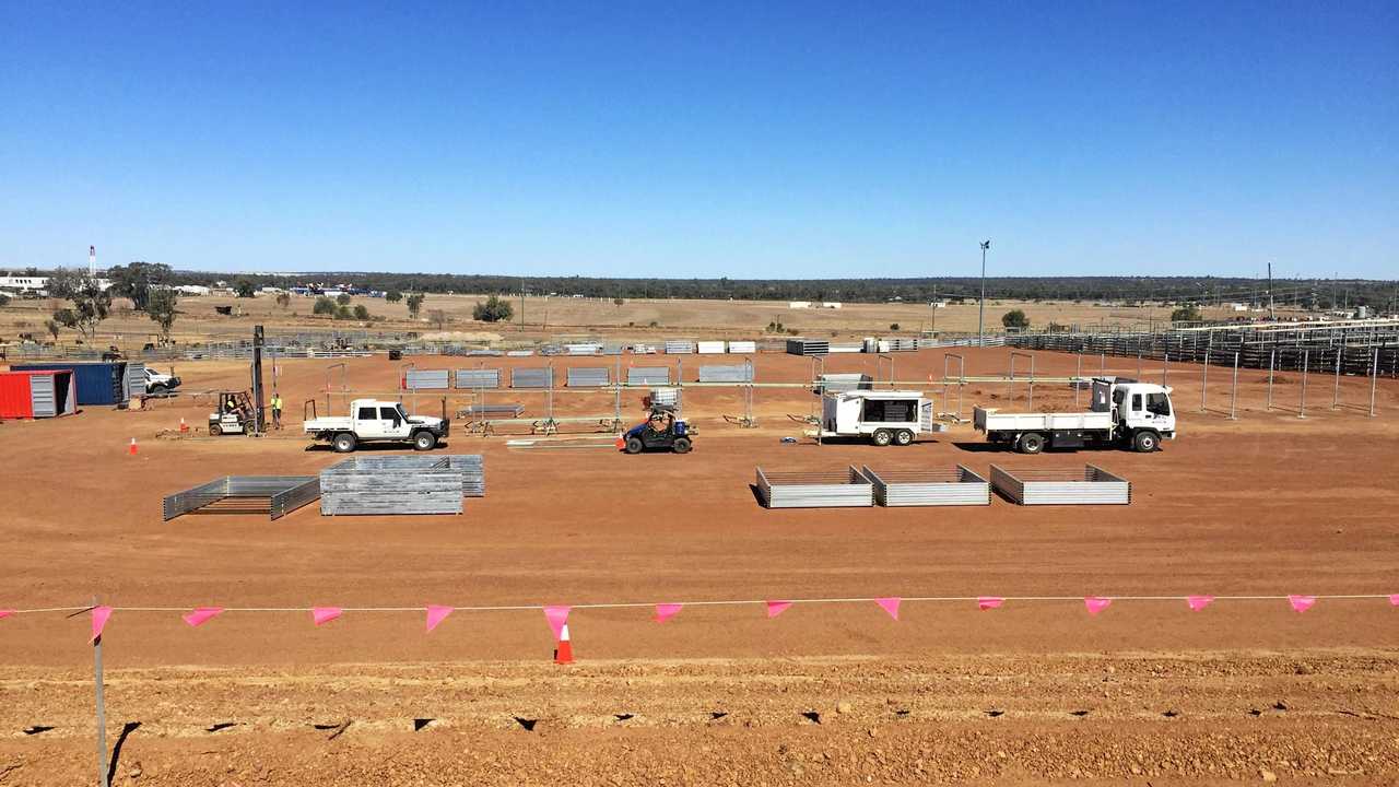 IMPROVEMENTS: Work is under way on the new selling pens and drafts at the Roma Saleyards. Picture: Contributed