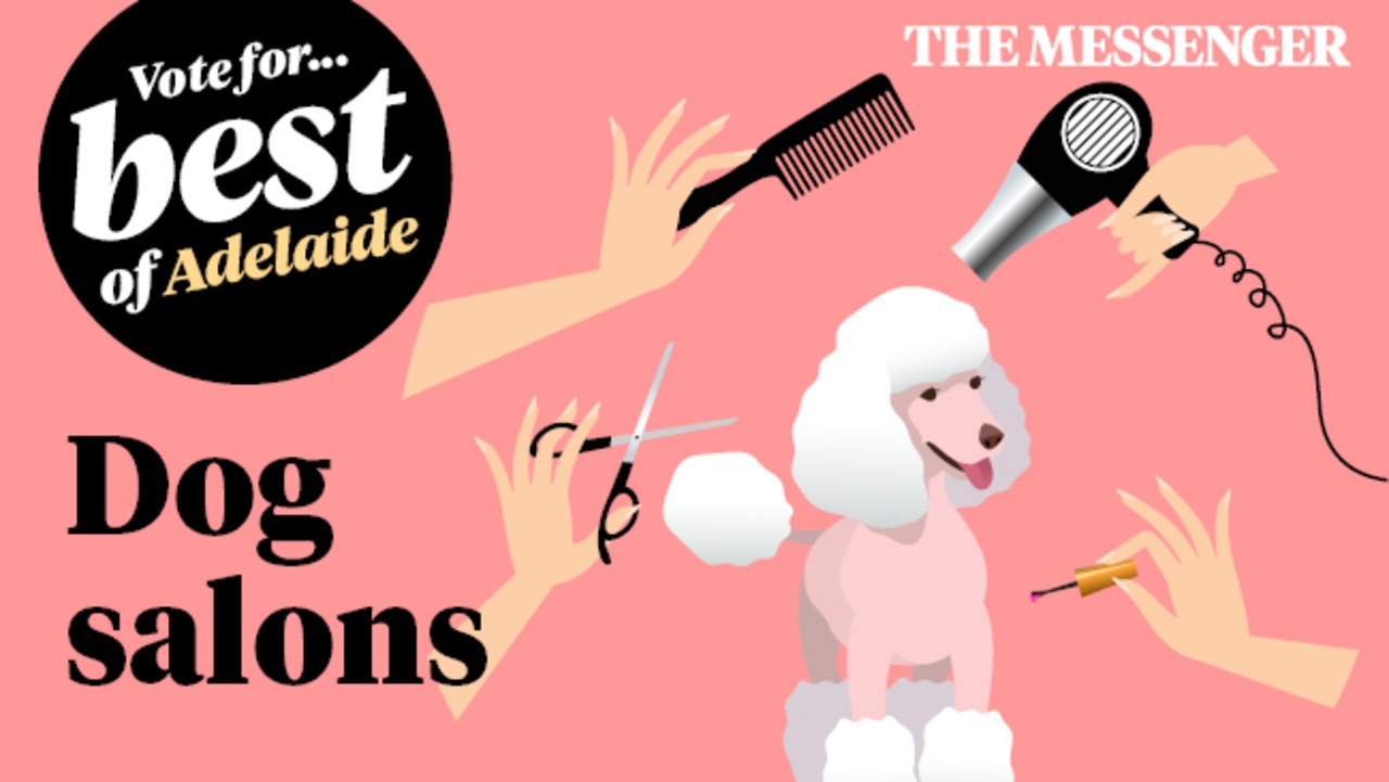 Adelaide’s best dog salons vote now The Advertiser