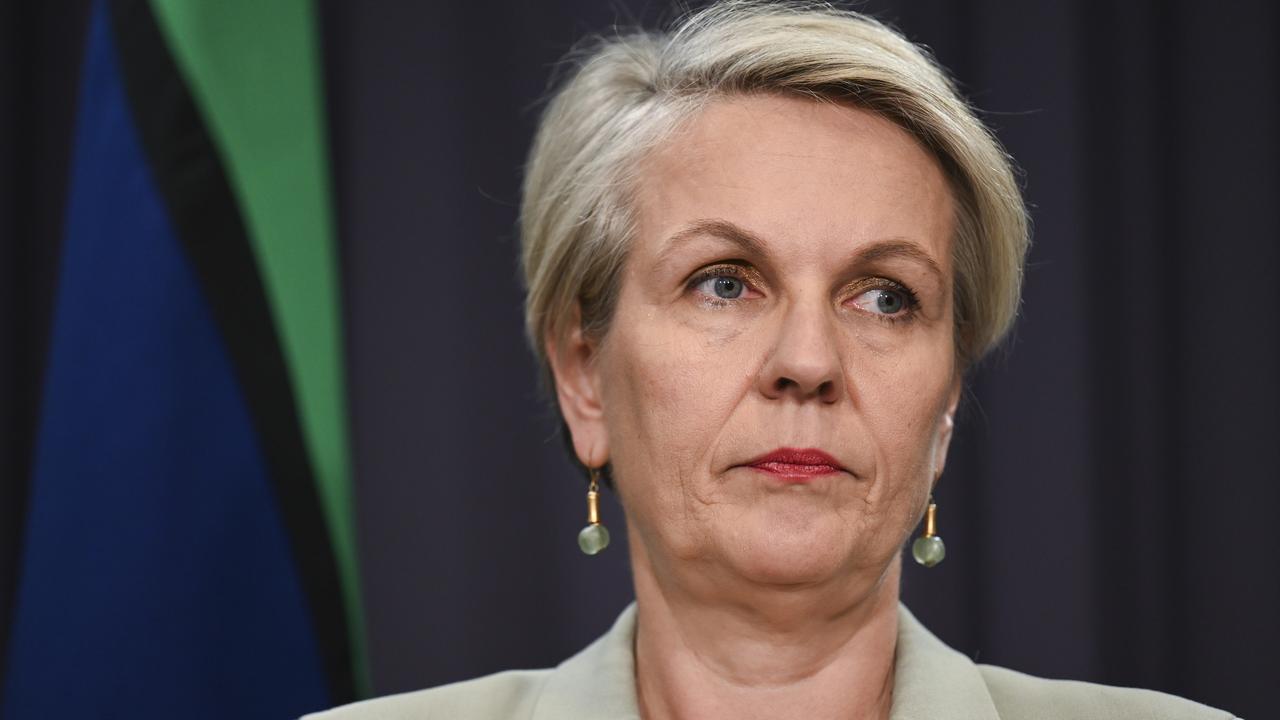 Environment Minister Tanya Plibersek was forced to defend the arrangements. Picture: NewsWire / Martin Ollman