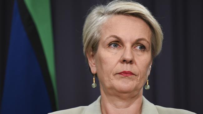 Environment Minister Tanya Plibersek was forced to defend the arrangements. Picture: NewsWire / Martin Ollman