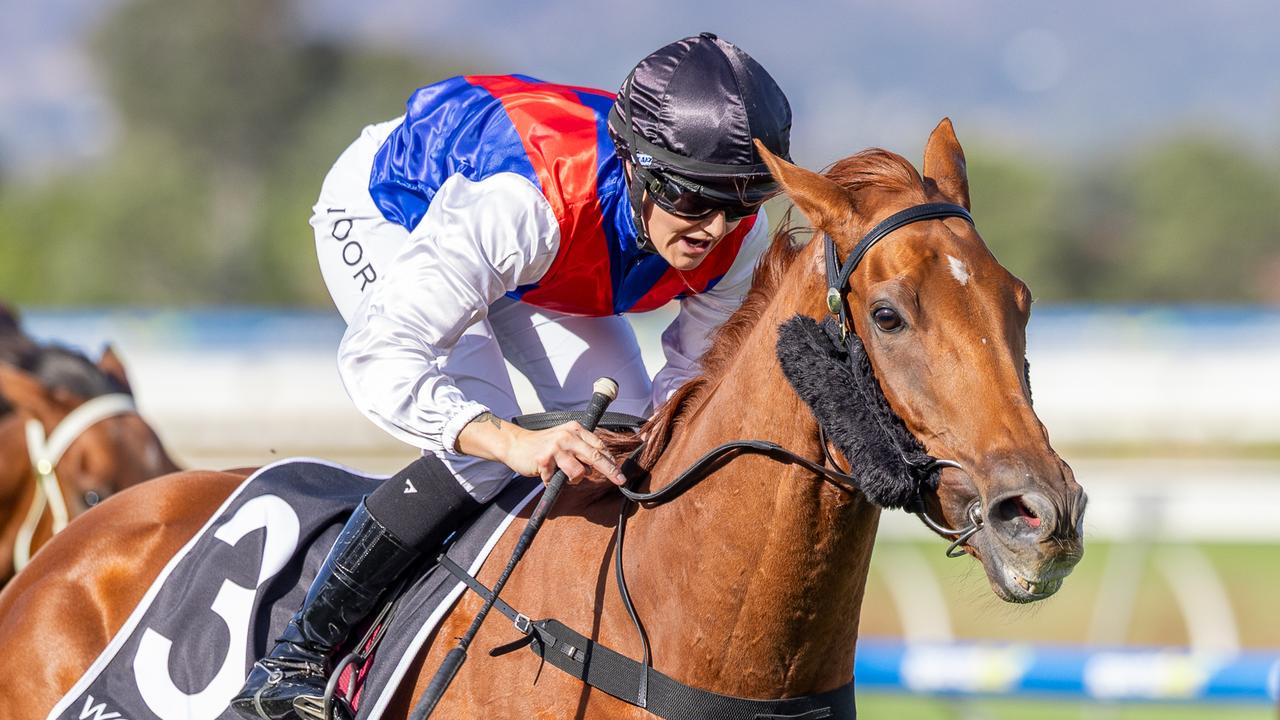 Sir Kingsford, ridden by Teagan Voorham, wins the Port Adelaide Cup at Morphettville on Saturday. Picture: Makoto Kaneko