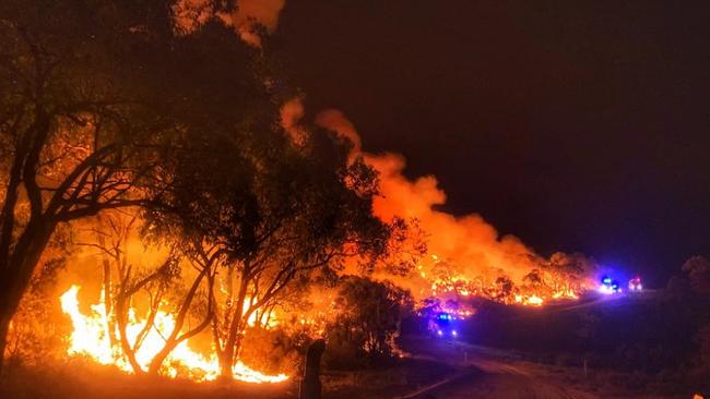 CFS crews battle the Cherry Gardens bushfire from the ground. Picture: Josh Boyce