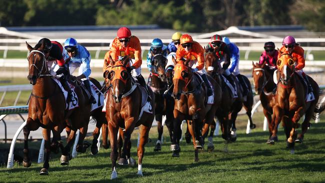 Jockey Robert Thompson rides The Harrovian mid pack on the first lap of Cairns Amateurs Cup, before striding out to claim victory at Cannon Park. PICTURE: BRENDAN RADKE