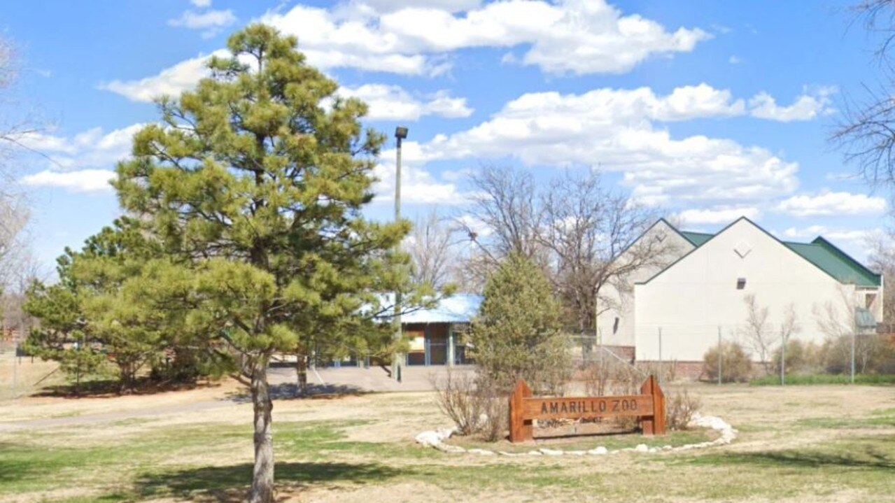 The Amarillo Zoo and city are asking residents for help in identifying the creature. Picture: Google Maps.