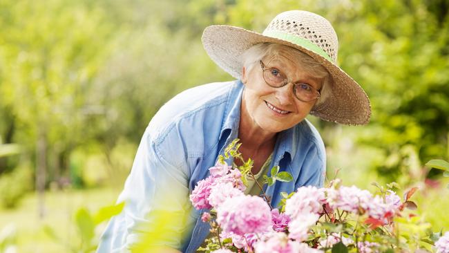 Senior woman with flowers in garden, active retirement, pensioner generic