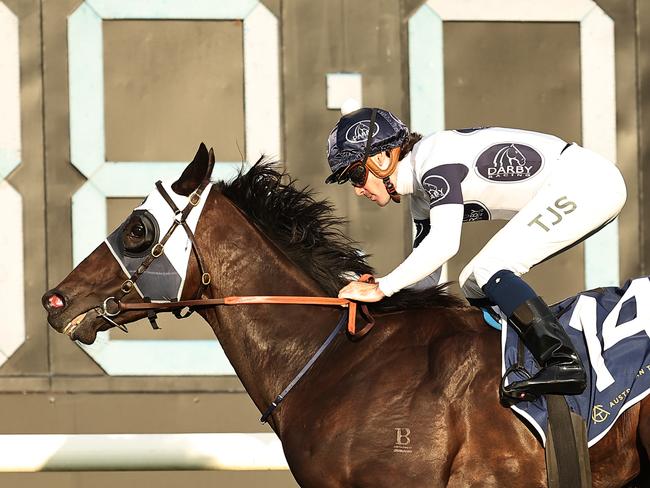 SYDNEY, AUSTRALIA - SEPTEMBER 28: Tyler Schiller riding  Amor Victorious wins Race 9 Canadian Club Shannon Stakes during "Golden Rose Day" Sydney Racing at Rosehill Gardens on September 28, 2024 in Sydney, Australia. (Photo by Jeremy Ng/Getty Images)