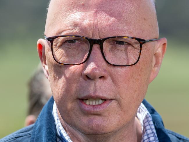 TASMANIA, AUSTRALIA - NewsWire Photos - Sunday, 10 November 2024:  Leader of the Opposition Peter Dutton at Littlewood Berry Farm in Richmond, Tasmania. Picture: NewsWire / Linda Higginson