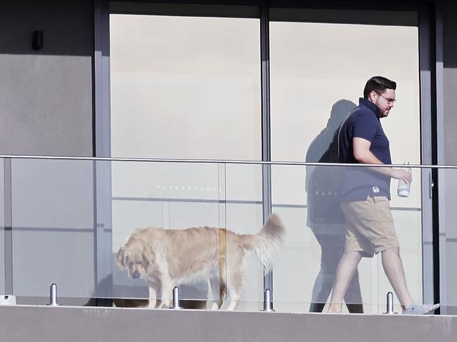 Lehrmann, and a golden retriever, have been making themselves at home in recent weeks. Picture: Sam Ruttyn