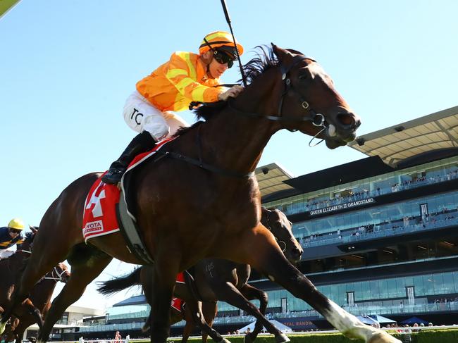 SYDNEY, AUSTRALIA - APRIL 19: Tim Clark riding Shangri La Spring win Race 3 Toyota Forklifts Frank Packer Plate during 