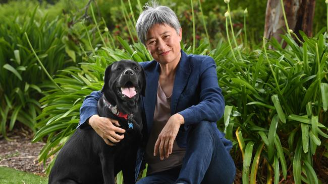 Penny Wong with her 18-month-old black labrador Shadow. Picture: Tricia Watkinson