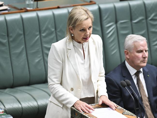 CANBERRA, AUSTRALIA  - NewsWire Photos - November 26, 2024:  Deputy Leader of the Opposition Sussan Ley makes a statement before Question Time at Parliament House in Canberra. Picture: NewsWire / Martin Ollman