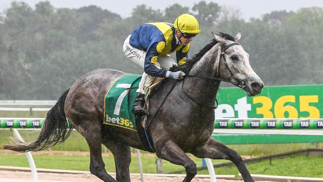 Ex-American galloper Lighthouse won easily in her Australian debut. Picture: Racing Photos via Getty Images