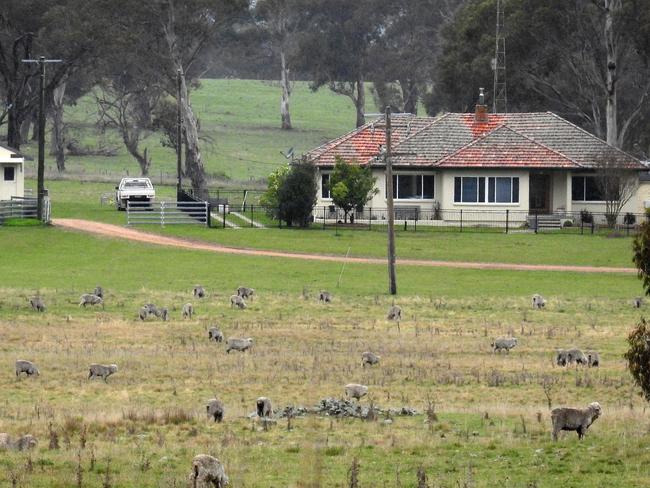 The Walcha sheep farm.