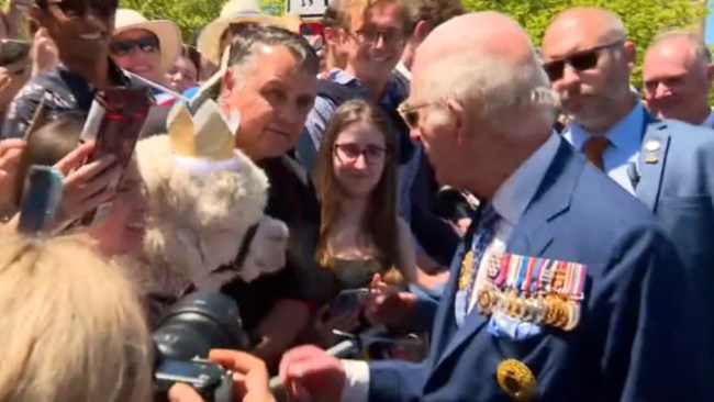 The alpaca then sneezed on the King, who quickly laughed off the moment as he continued to shake the hands of royal supporters. Picture: Supplied