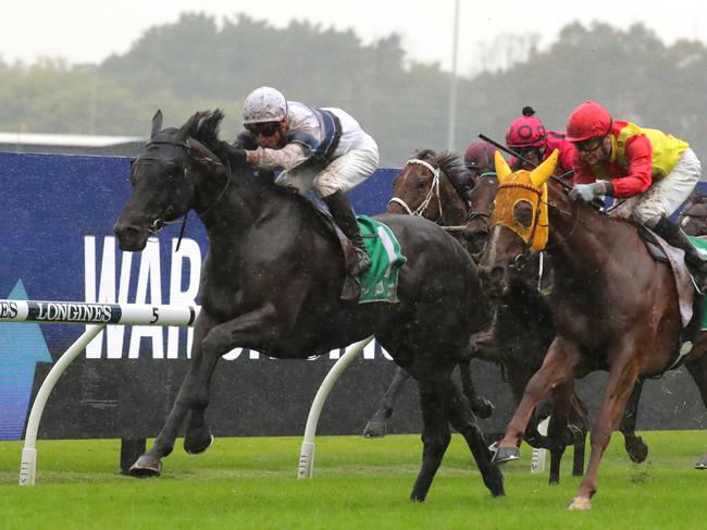 SYDNEY, AUSTRALIA - APRIL 29: James Mcdonald riding Bianco Vilano wins Race 2 TAB Highway during "ATC Bookmakers Recognition Day" - Sydney Racing at Rosehill Gardens on April 29, 2023 in Sydney, Australia. (Photo by Jeremy Ng/Getty Images)