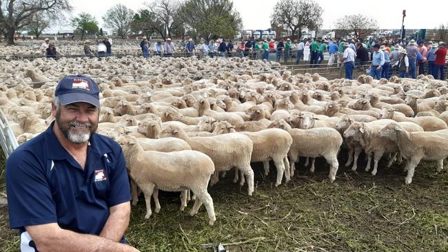 Top dollar: Wes Kember from Ganmain in NSW paid the top price of $354 for these young 2019 drop Merino ewes at Hay today. It follows a “ripping week’’ for the family, who received up to $381 for first-cross ewes at the special Narrandera sale on Wednesday, followed by $191.60 for sucker lambs sold at the Wagga Wagga prime market yesterday.