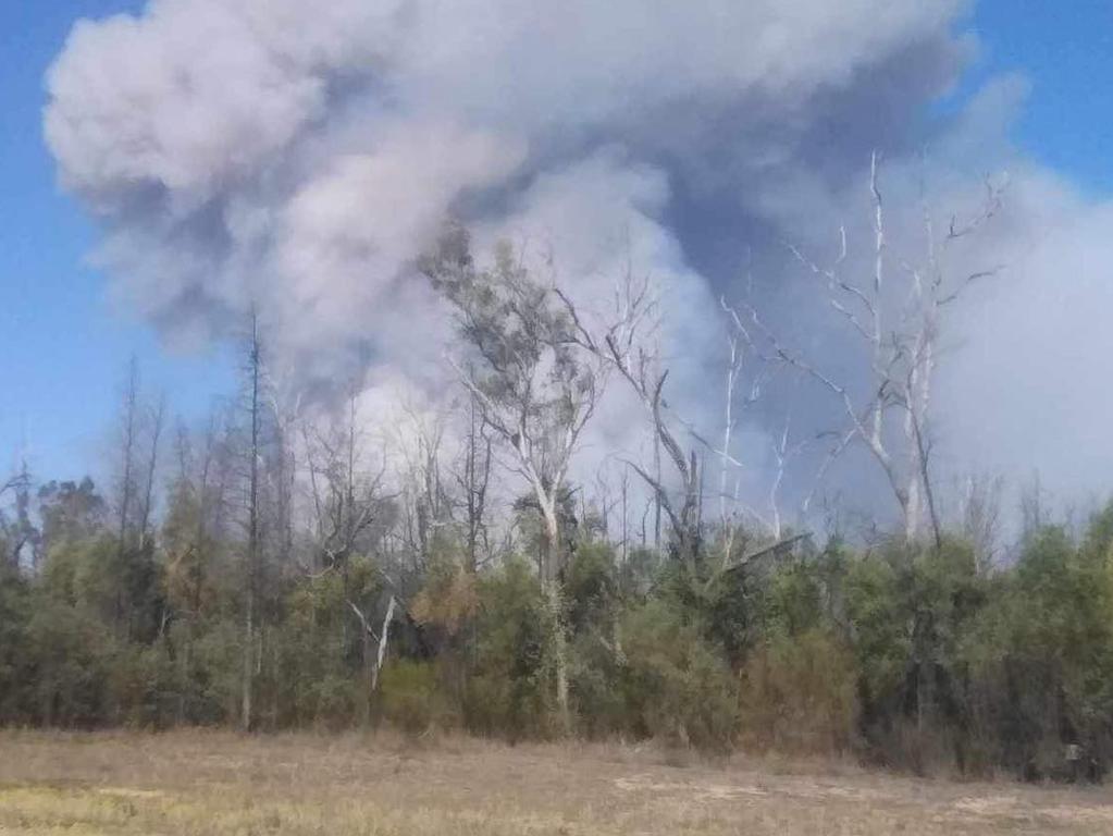 A plume of smoke from a large bushfire burning near Ayers Rock Rd, Cypress Gardens.