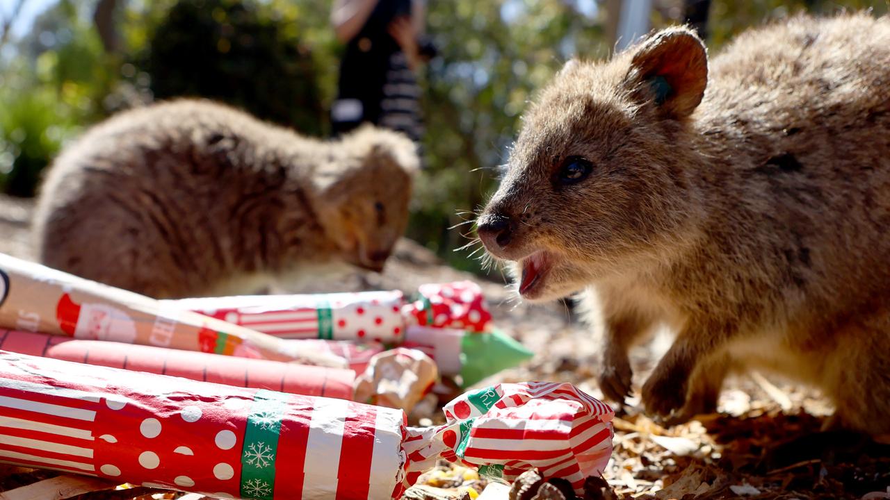 The PM urged Australians to unwind and enjoy Christmas with loved ones. Picture: NCA NewsWire / Kelly Barnes