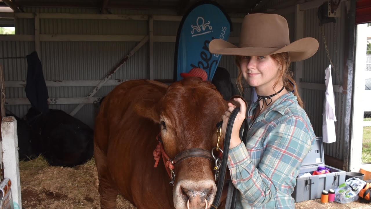 Alex Olive with Apis Creek's Brangus bull Davey Gravy. Davey Gravy is a led steer Brangus. Picture: Matthew Forrest