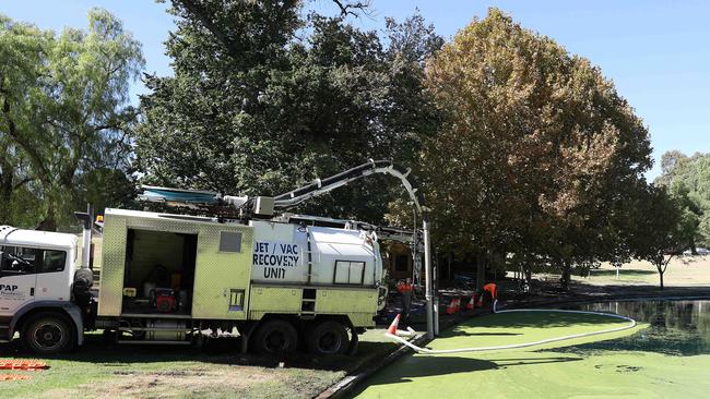 Rymill Lake is cleaned during an outbreak of duck weed. Picture Sarah Reed